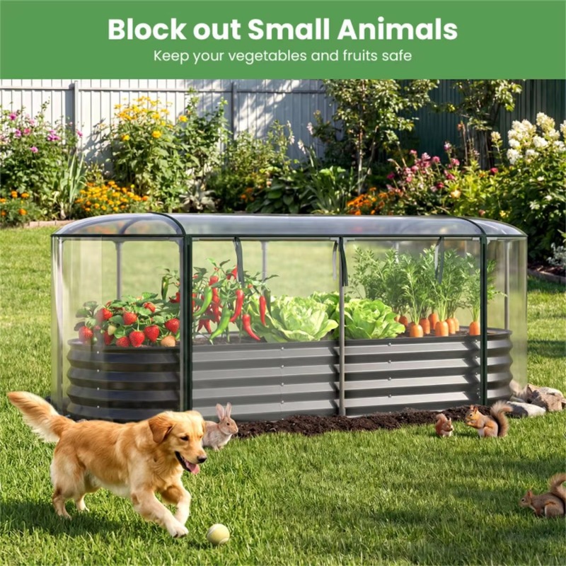 3つの四季対応高床式菜園、亜鉛メッキ鋼製プランター、強化ガラ - Glass Bed のレビューと価格